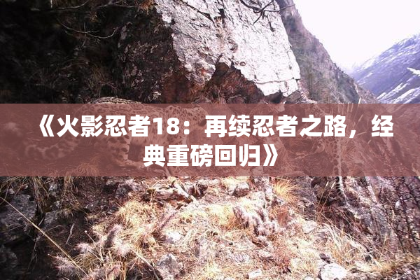 《火影忍者18：再续忍者之路，经典重磅回归》