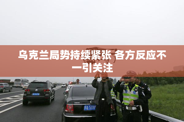 乌克兰局势持续紧张 各方反应不一引关注