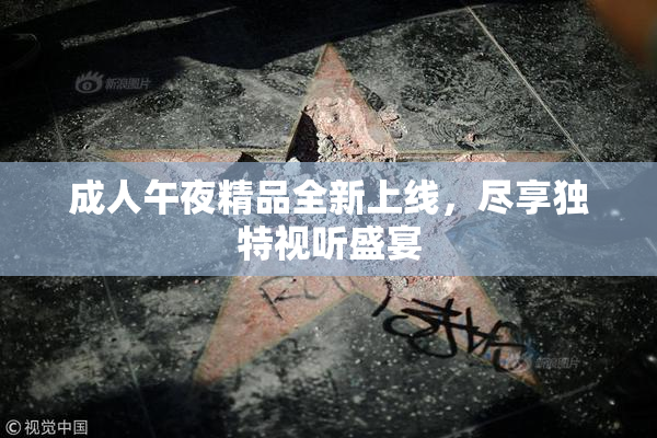 成人午夜精品全新上线，尽享独特视听盛宴