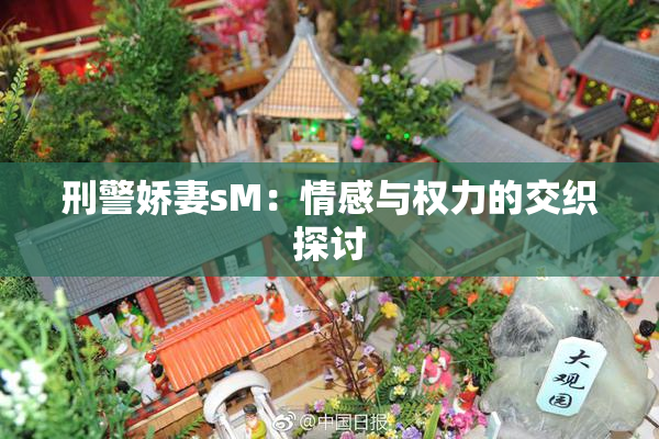 刑警娇妻sM：情感与权力的交织探讨