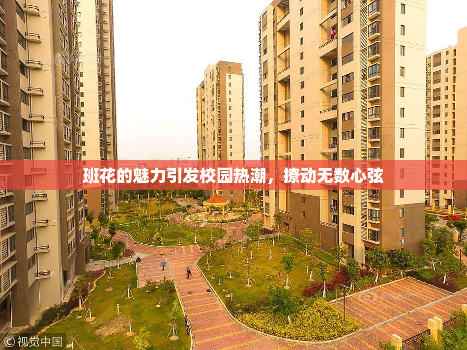班花的魅力引发校园热潮，撩动无数心弦