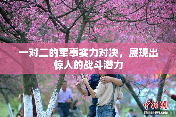 一对二的军事实力对决，展现出惊人的战斗潜力
