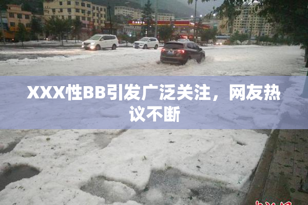XXX性BB引发广泛关注，网友热议不断
