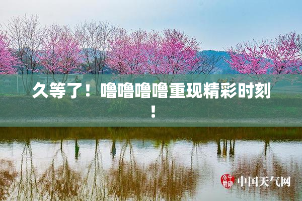久等了！噜噜噜噜重现精彩时刻！