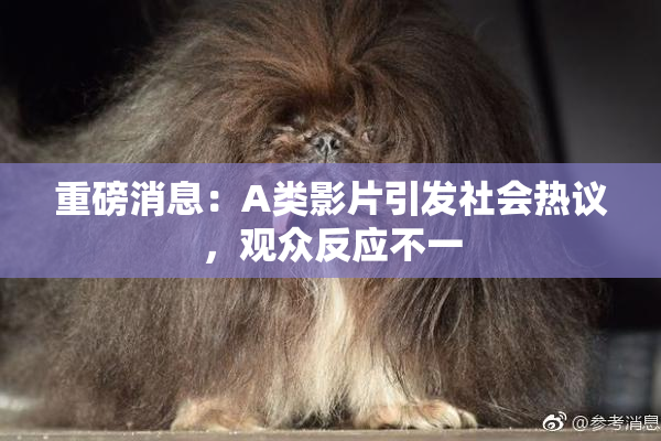 重磅消息：A类影片引发社会热议，观众反应不一