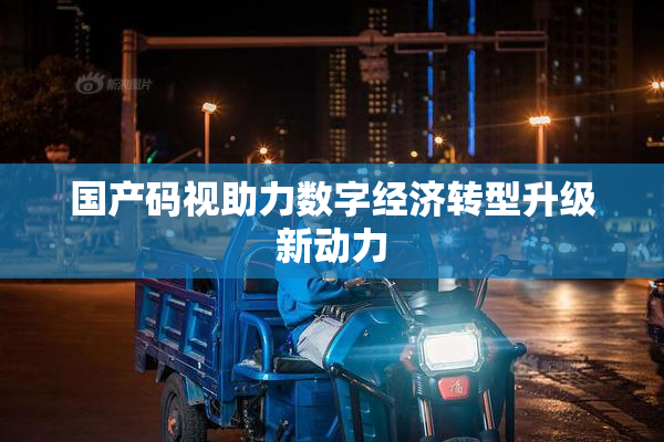 国产码视助力数字经济转型升级新动力