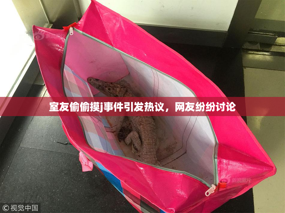 室友偷偷摸j事件引发热议，网友纷纷讨论