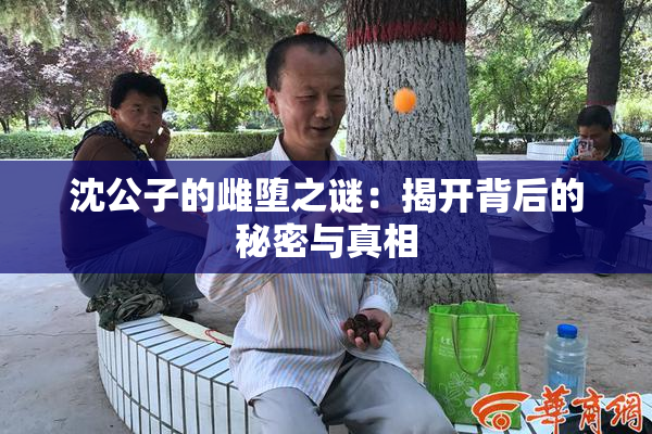 沈公子的雌堕之谜：揭开背后的秘密与真相