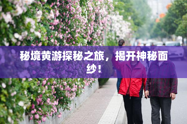 秘境黄游探秘之旅，揭开神秘面纱！