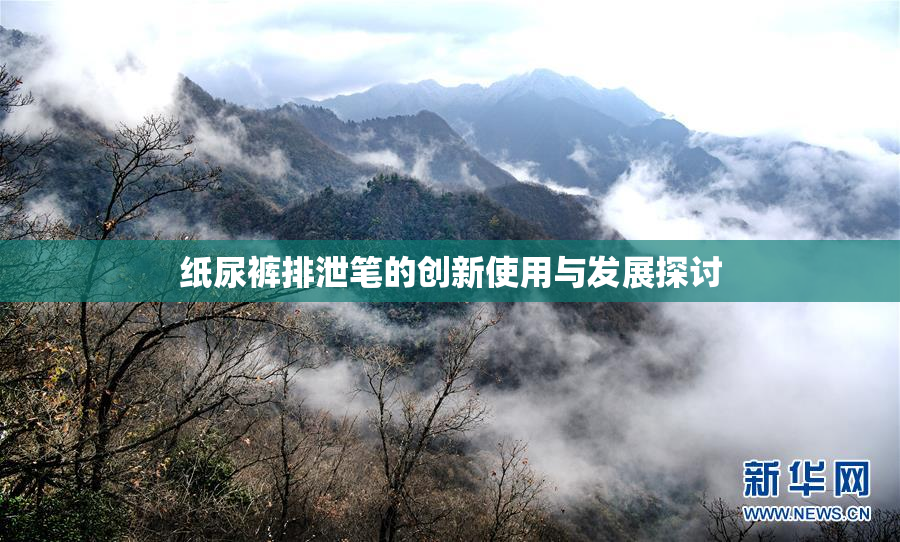 纸尿裤排泄笔的创新使用与发展探讨