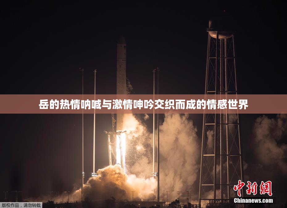 岳的热情呐喊与激情呻吟交织而成的情感世界