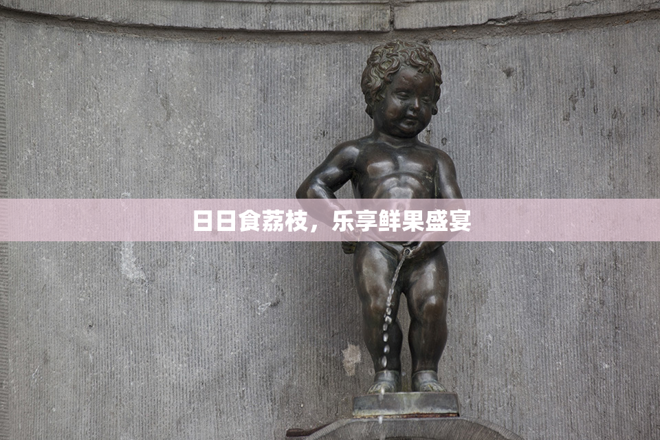 日日食荔枝，乐享鲜果盛宴