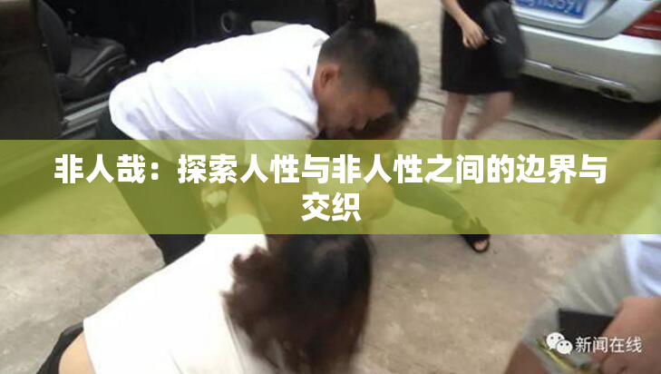 非人哉：探索人性与非人性之间的边界与交织