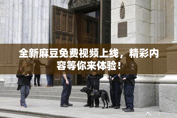 全新麻豆免费视频上线，精彩内容等你来体验！