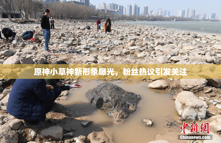 原神小草神新形象曝光，粉丝热议引发关注