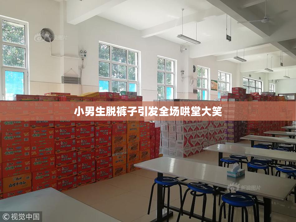 小男生脱裤子引发全场哄堂大笑