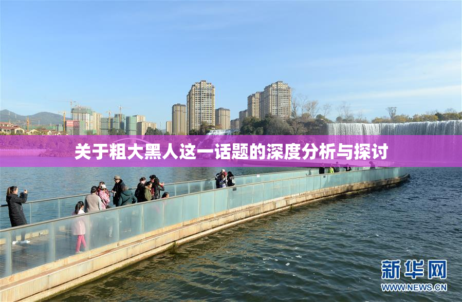 关于粗大黑人这一话题的深度分析与探讨