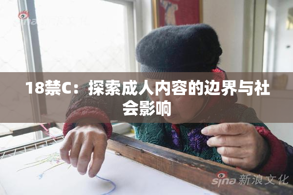 18禁C：探索成人内容的边界与社会影响