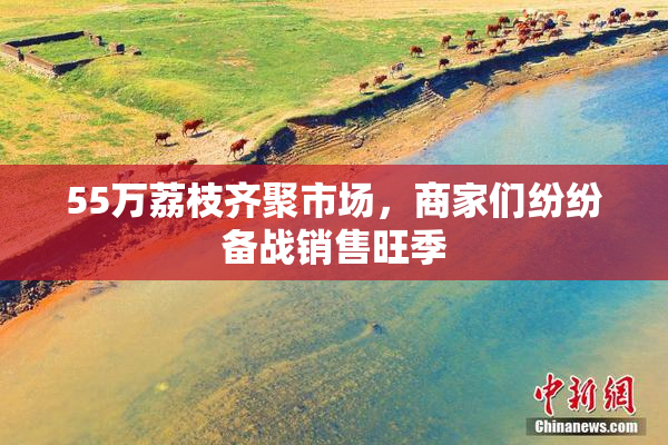 55万荔枝齐聚市场，商家们纷纷备战销售旺季