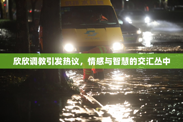 欣欣调教引发热议，情感与智慧的交汇丛中