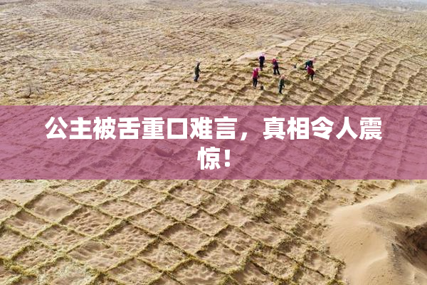 公主被舌重口难言，真相令人震惊！