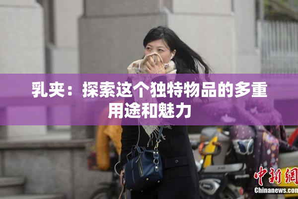乳夹：探索这个独特物品的多重用途和魅力