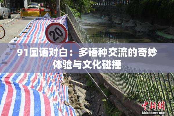 91国语对白：多语种交流的奇妙体验与文化碰撞