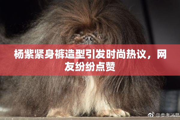 杨紫紧身裤造型引发时尚热议，网友纷纷点赞