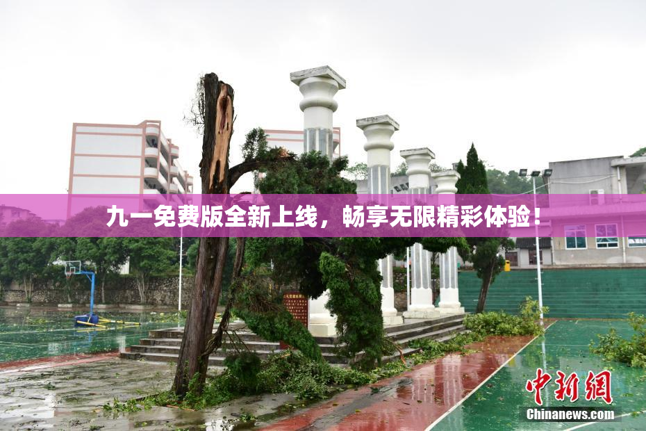 九一免费版全新上线，畅享无限精彩体验！