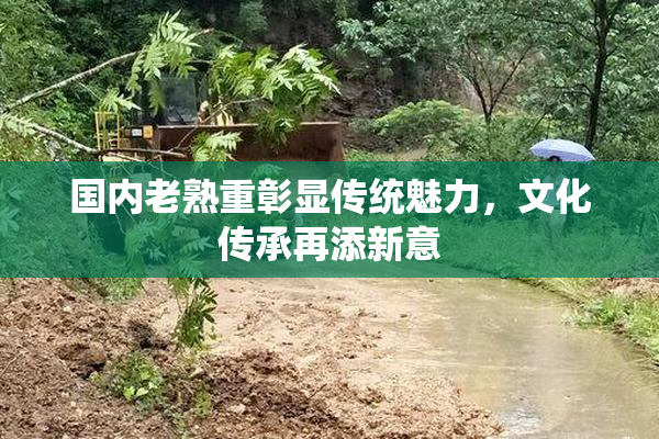 国内老熟重彰显传统魅力，文化传承再添新意