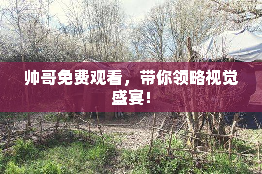 帅哥免费观看，带你领略视觉盛宴！