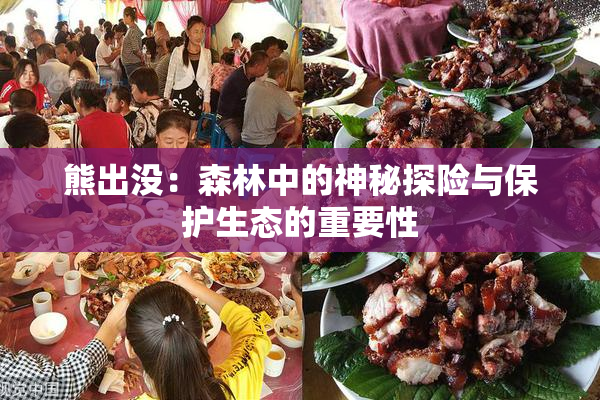 熊出没：森林中的神秘探险与保护生态的重要性