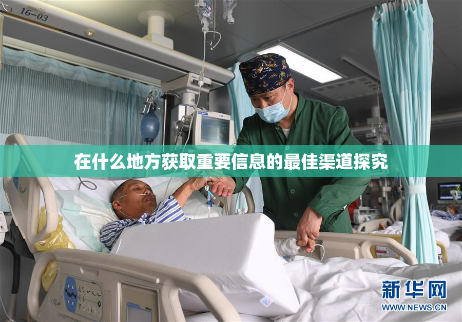 在什么地方获取重要信息的最佳渠道探究