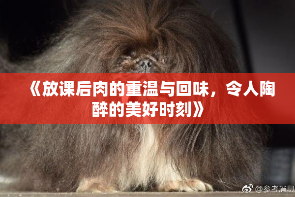 《放课后肉的重温与回味，令人陶醉的美好时刻》