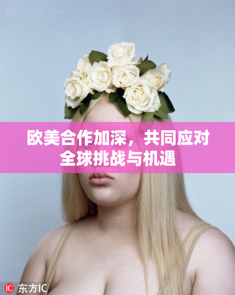 欧美合作加深，共同应对全球挑战与机遇
