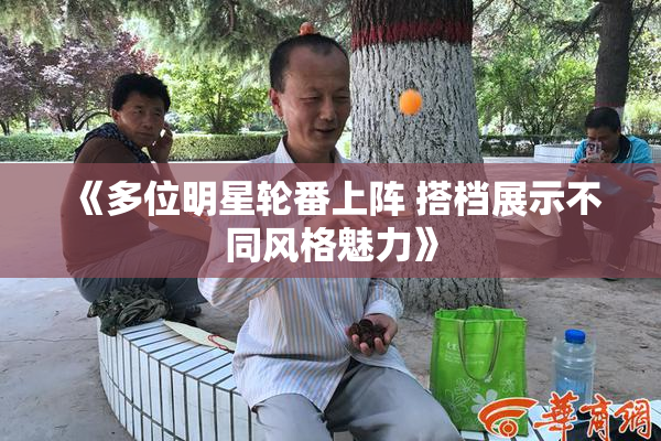 《多位明星轮番上阵 搭档展示不同风格魅力》