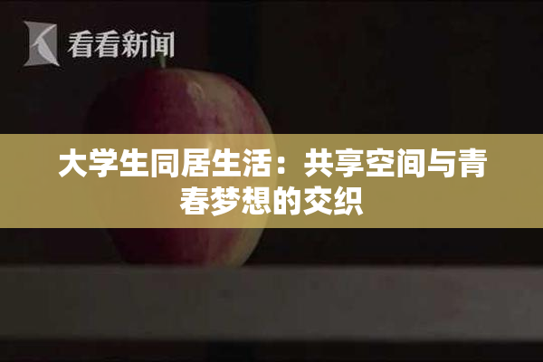 大学生同居生活：共享空间与青春梦想的交织
