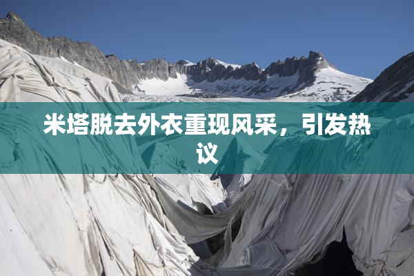 米塔脱去外衣重现风采，引发热议