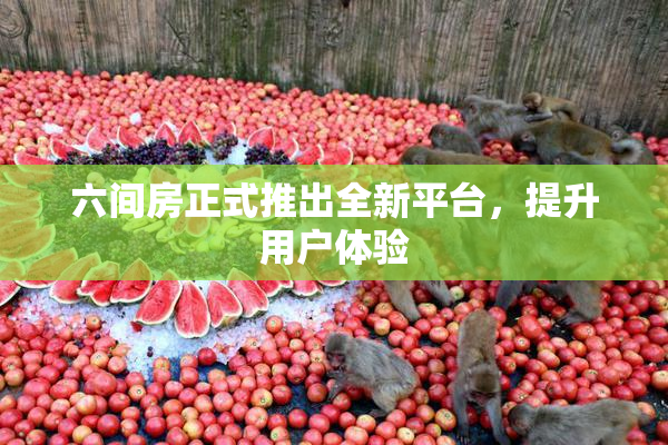 六间房正式推出全新平台，提升用户体验