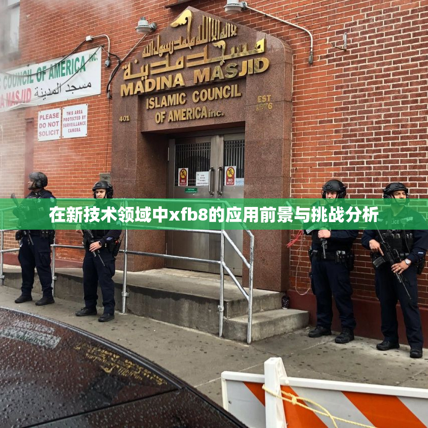 在新技术领域中xfb8的应用前景与挑战分析