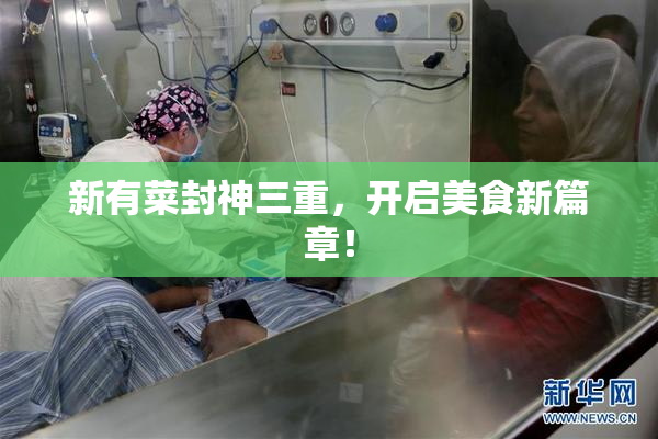 新有菜封神三重，开启美食新篇章！