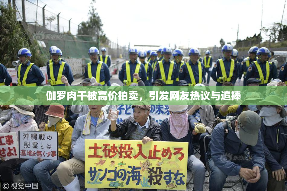 伽罗肉干被高价拍卖，引发网友热议与追捧