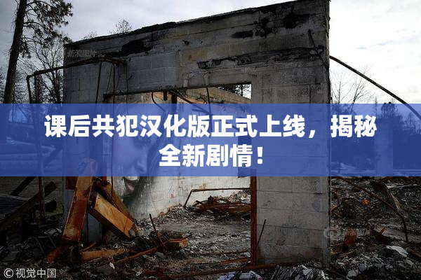 课后共犯汉化版正式上线，揭秘全新剧情！