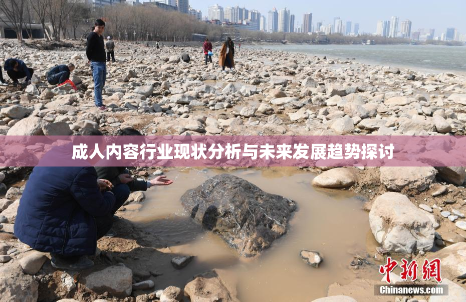 成人内容行业现状分析与未来发展趋势探讨