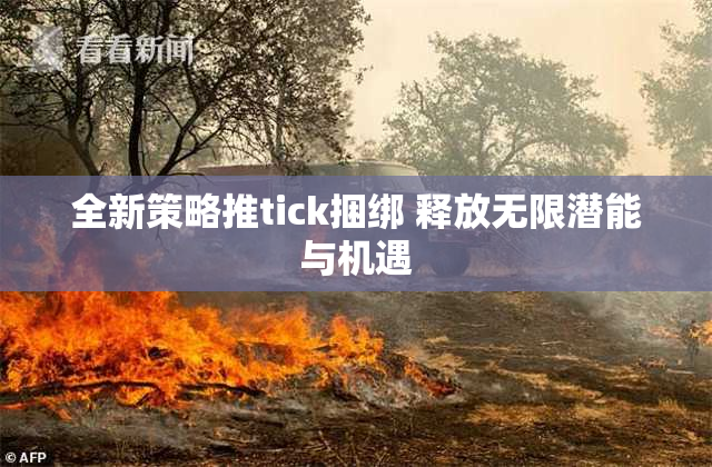 全新策略推tick捆绑 释放无限潜能与机遇
