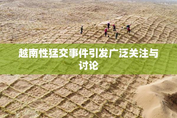 越南性猛交事件引发广泛关注与讨论
