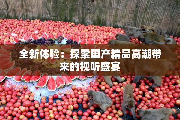 全新体验：探索国产精品高潮带来的视听盛宴