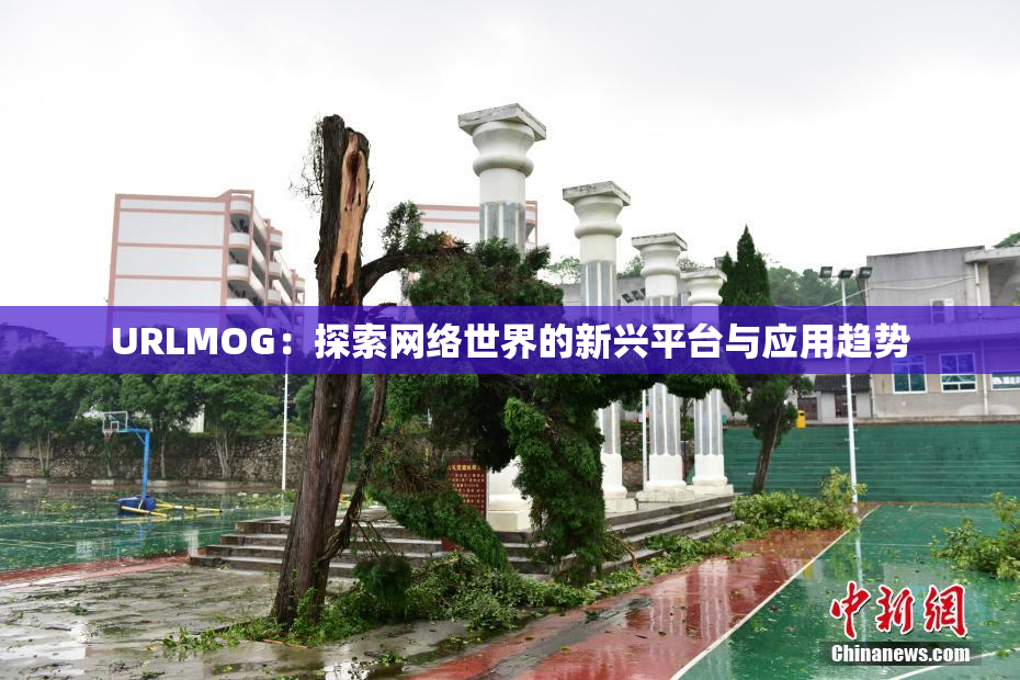 URLMOG：探索网络世界的新兴平台与应用趋势
