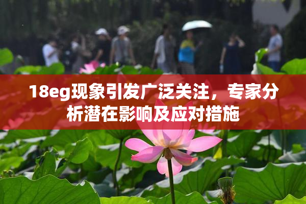 18eg现象引发广泛关注，专家分析潜在影响及应对措施