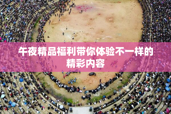 午夜精品福利带你体验不一样的精彩内容